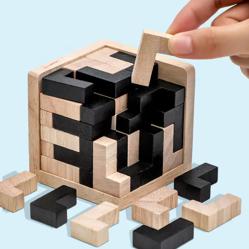 3D Brain Builder Wooden Puzzle