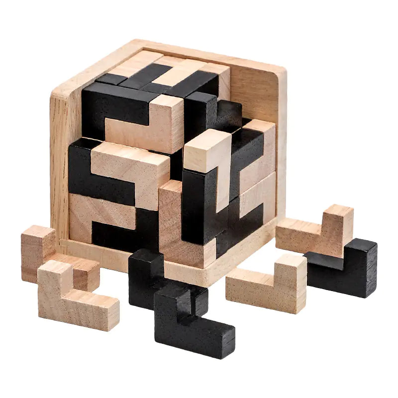 3D Brain Builder Wooden Puzzle
