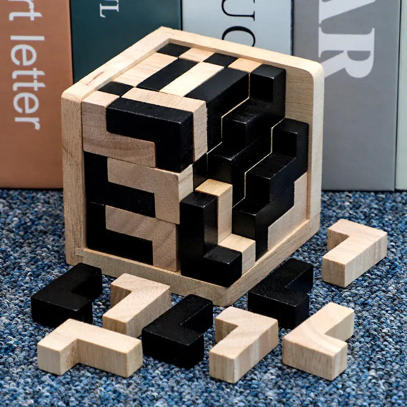 3D Brain Builder Wooden Puzzle